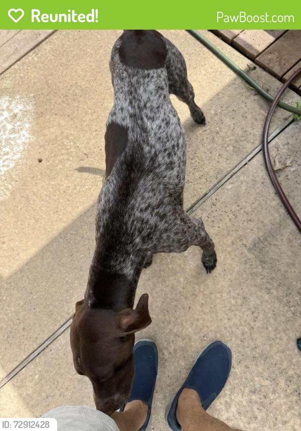Reunited Male Dog last seen Near Besinger , San Antonio, TX 78254