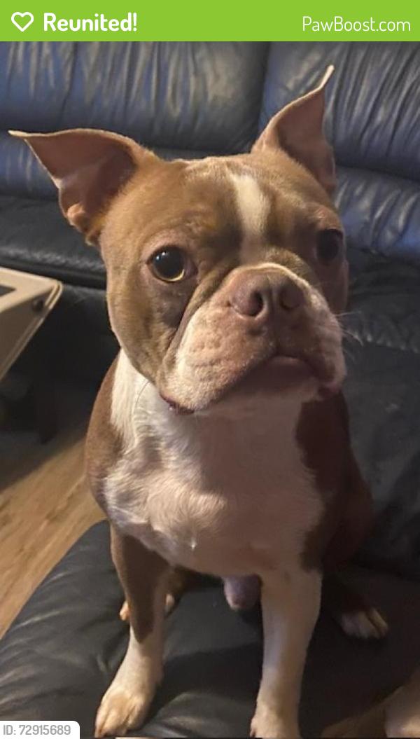 Reunited Female Dog last seen Near BROXTON LANE, SNELLVILLE, GA, Snellville, GA 30039