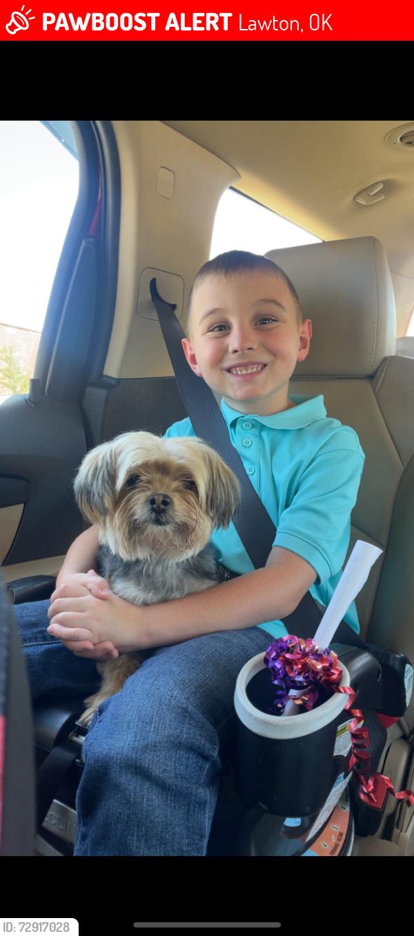 Lost Female Dog last seen 7th and Roosevelt , Lawton, OK 73501