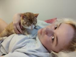 Reunited Male Cat last seen Canterbury Road bus stop, Greater London, England CR0 3FH