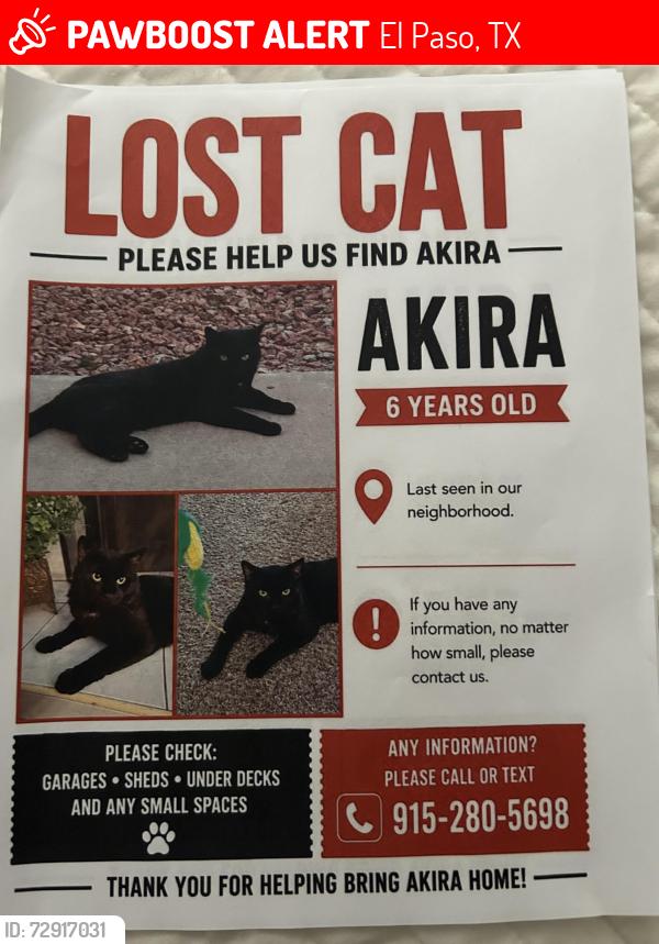 Lost Male Cat last seen Vista del Sol, El Paso, TX 79936
