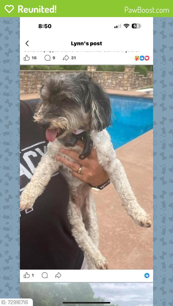Reunited Unknown Dog last seen West Hunt rd near the airport, Alcoa, TN 37701