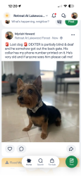 Reunited Male Dog last seen N Eldridge pkwy & Guernsey , Tomball, TX 77377