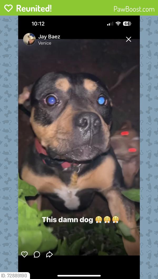 Reunited Male Dog last seen Nw 36th St and May Ave, Oklahoma City, OK 73112