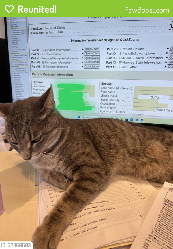 Reunited Female Cat last seen 77th & Dean Road, Indianapolis, IN 46240