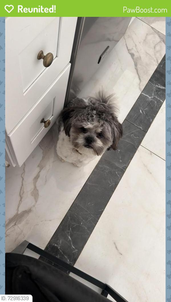 Reunited Male Dog last seen Jhon kenedy / moreno beach , Moreno Valley, CA 92555