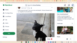 Found/Stray Male Dog last seen Quail Creek/Bowen, San Antonio, TX 78250
