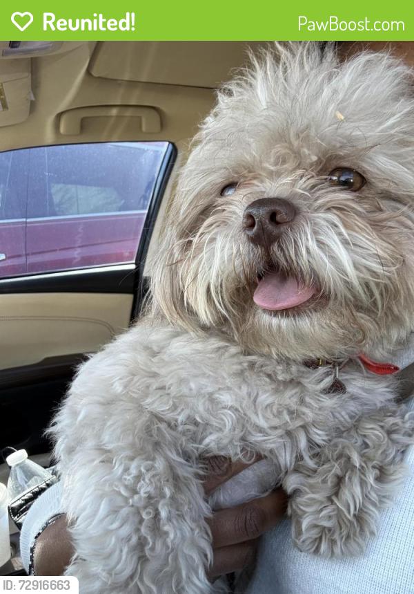 Reunited Male Dog last seen Tennessee Trail, Arlington, TX 76017