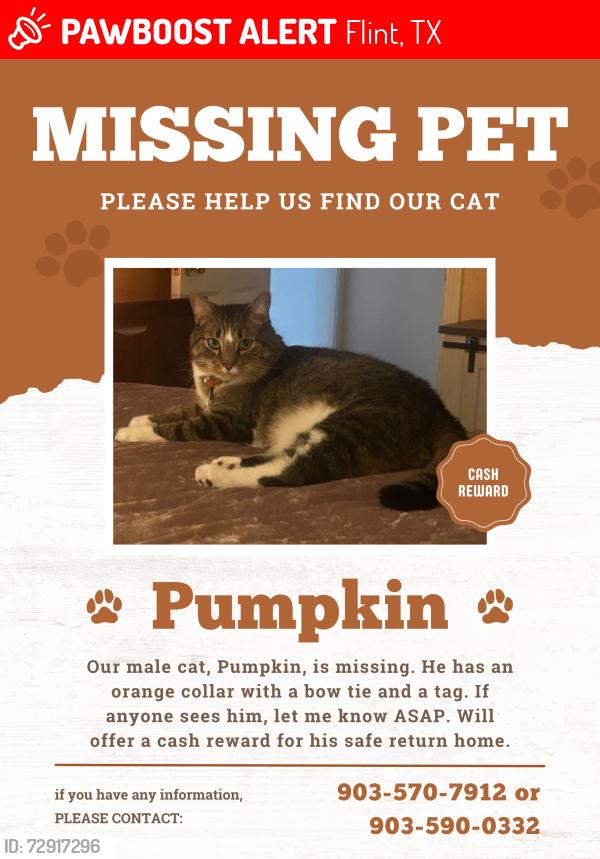 Lost Male Cat last seen Running Meadows Flint Tx, Flint, TX 75762