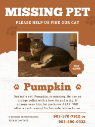 Lost Male Cat last seen Running Meadows Flint Tx, Flint, TX 75762