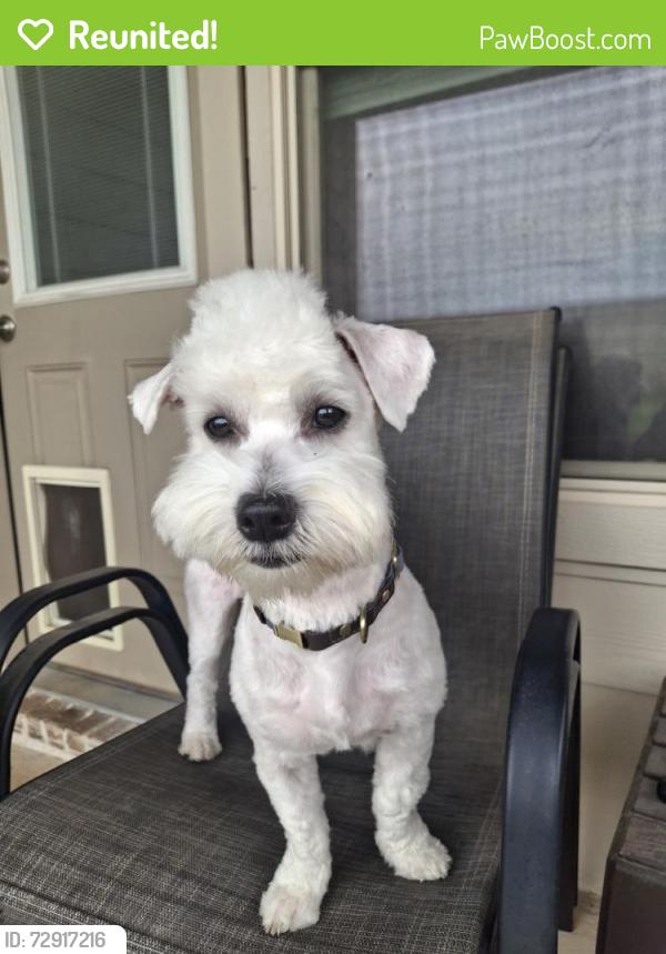 Reunited Male Dog last seen Copper Crossing Dr, Fort Worth, TX 76131, USA, Fort Worth, TX 76131
