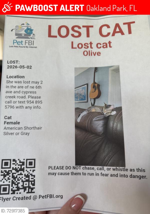 Lost Female Cat last seen 6th Ave & Cypress Creek, Oakland Park, FL 33334