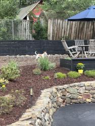 Reunited Male Dog last seen Oak Dr, Cedar St, Sycamore St in Forest Hills, Durham, NC 27707