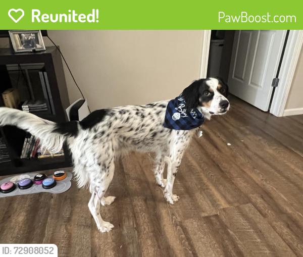 Reunited Male Dog last seen Near deer ridge rd, Maumee, OH 43537