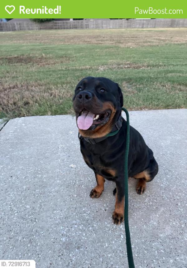 Reunited Female Dog last seen Ashford Park Pool, Houston, TX 77082