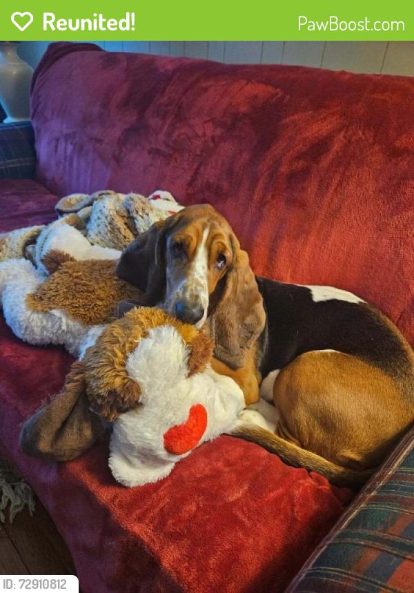 Reunited Female Dog last seen Claysville , Claysville, PA 15323