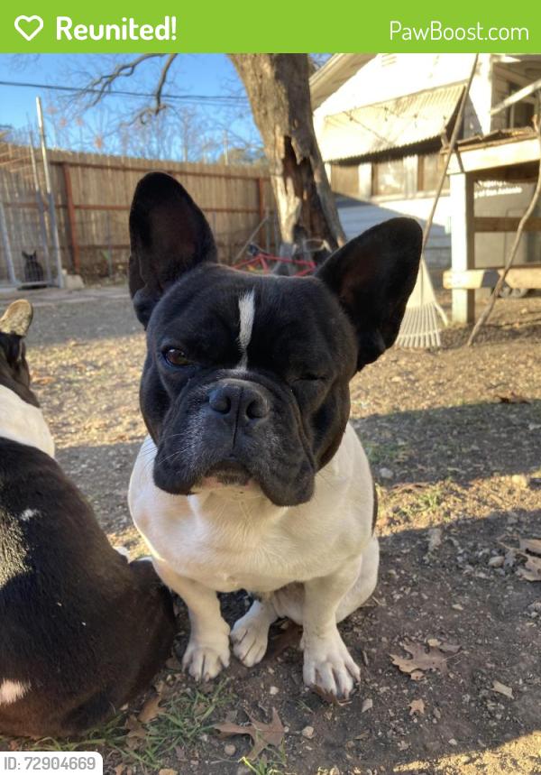 Reunited Male Dog last seen West palfrey st & Pecan Valley st , San Antonio, TX 78223