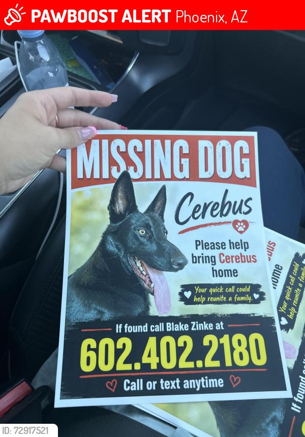Lost Male Dog last seen 67th thunderbird , Phoenix, AZ 85254