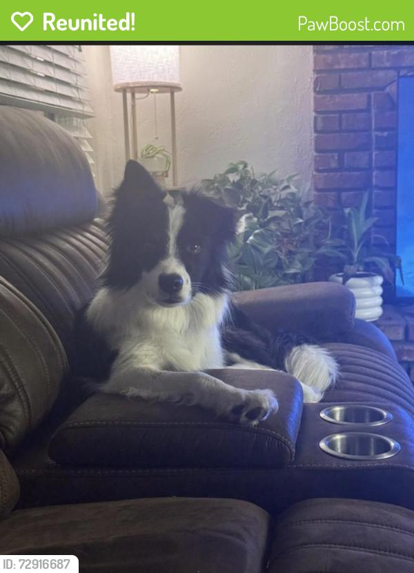 Reunited Male Dog last seen Meadowmere Park, Grandview, MO 64030
