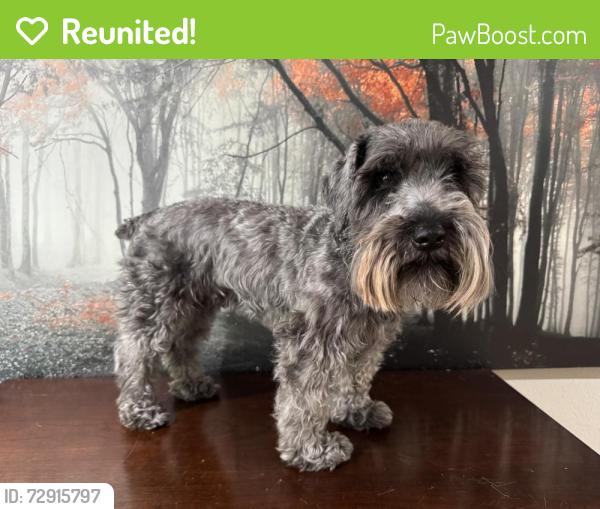 Reunited Male Dog last seen Bayton Dr, Frisco, TX 75035, USA, Frisco, TX 75035