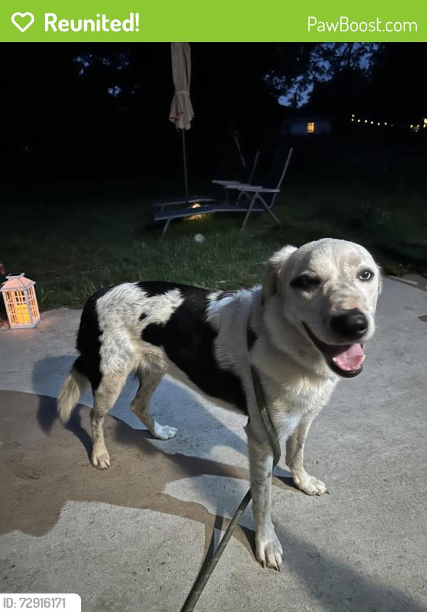 Reunited Male Dog last seen NW 84th & McKinley, Oklahoma City, OK 73114