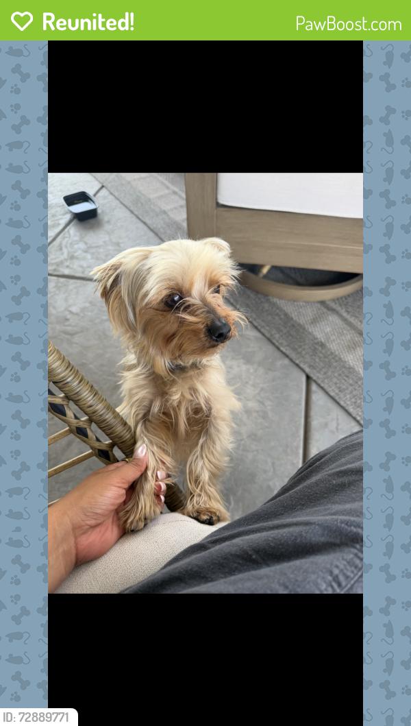 Reunited Male Dog last seen Gibbons Park in Carmichael , Carmichael, CA 95608