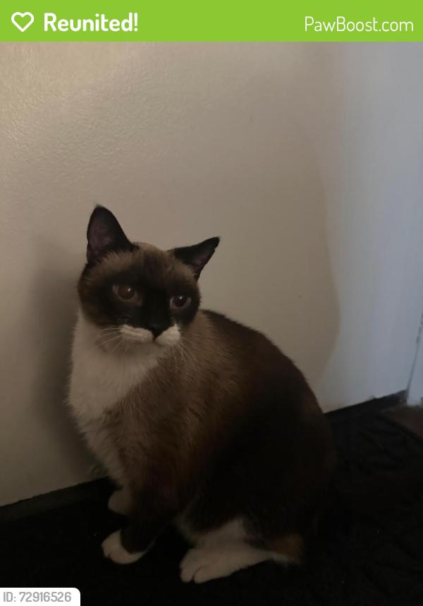 Reunited Male Cat last seen Near Christ Cathedral, Garden Grove, CA 92840