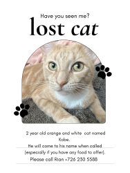 Lost Male Cat last seen The Lyndon apmts , San Marcos, TX 78666