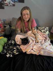 Reunited Male Cat last seen Behind Burlington kroger, Burlington, KY 41005