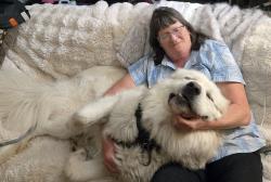 Lost Male Dog last seen Near phillips rd saug ny , Saugerties, NY 12477
