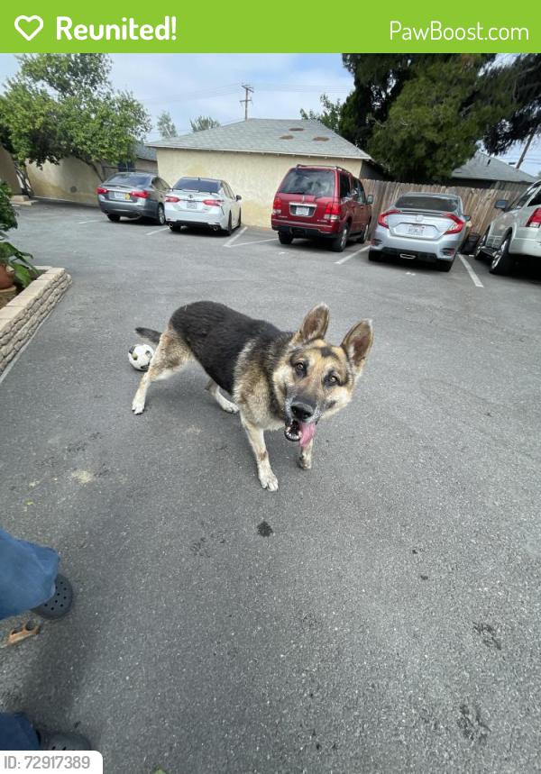 Reunited Male Dog last seen San Bernardino/ Citrus , Fontana, CA 92335