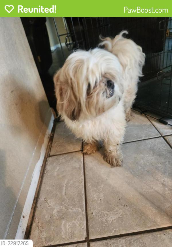 Reunited Male Dog last seen Savannah and William scarbrough , Schertz, TX 78154