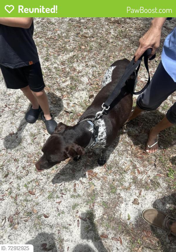 Reunited Male Dog last seen Orange Camp Rd & S Woodland Blvd , DeLand, FL 32724