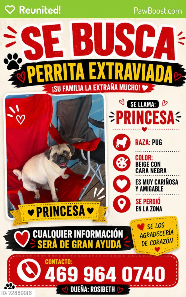 Reunited Female Dog last seen Calles principales y muchas casas al rededor , Grand Prairie, TX 75051