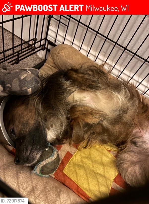 Lost Male Dog last seen Villard ave, Milwaukee, WI 53225