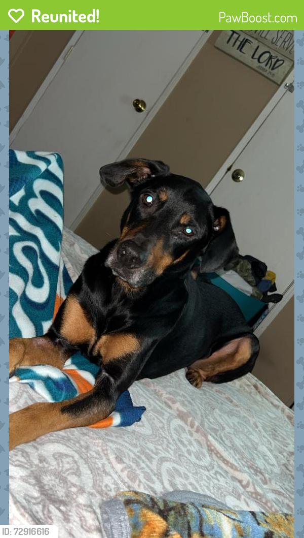 Reunited Male Dog last seen horton road roebuck sc , Arkwright, SC 29376