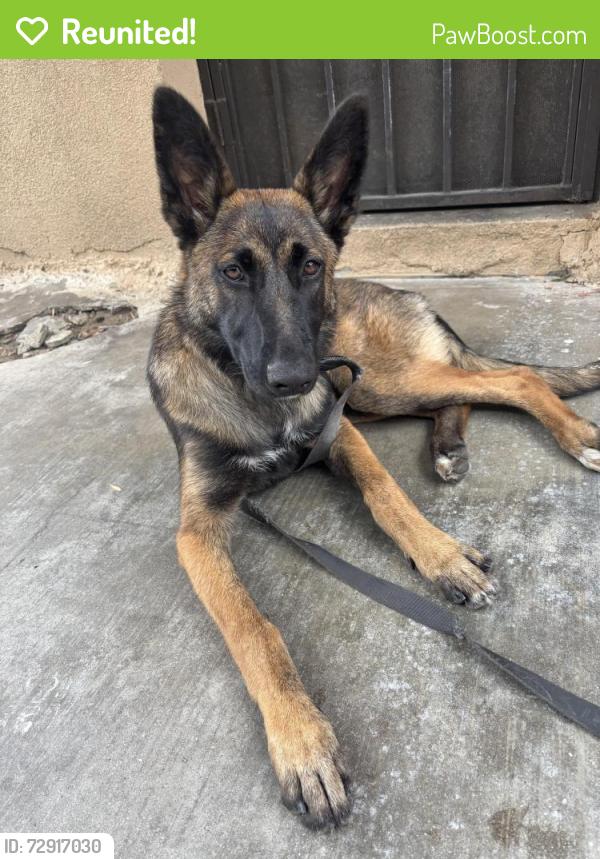 Reunited Female Dog last seen Dodson st and Peck rd, El Monte, CA 91733