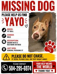 Reunited Male Dog last seen General Pershing , New Orleans, LA 70125
