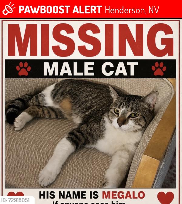 Lost Male Cat last seen Sunset cross valley verde, Henderson, NV 89014