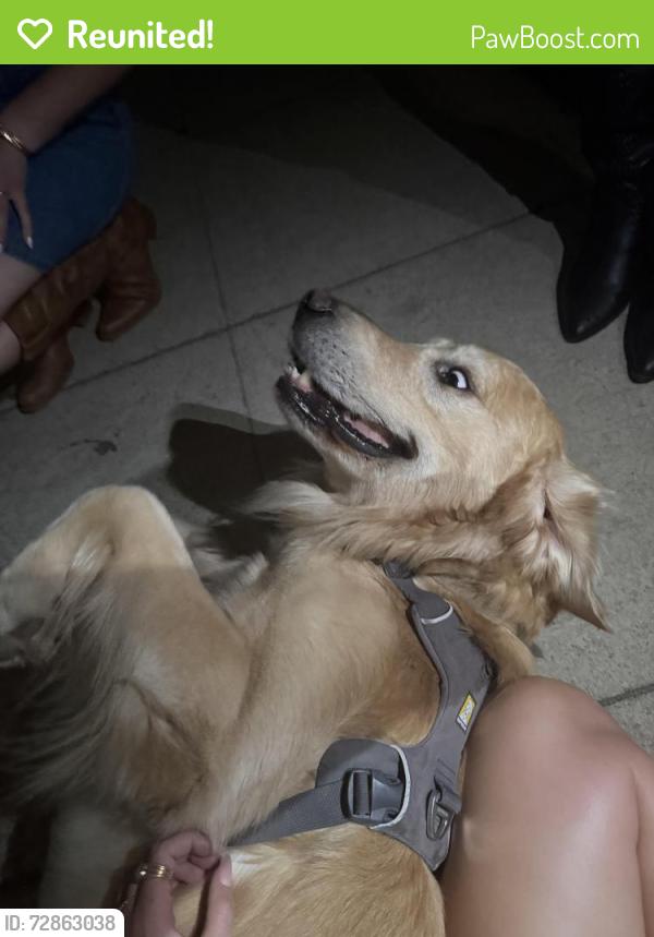 Reunited Male Dog last seen Bayard and Missouri, San Diego, CA 92109