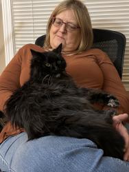 Lost Male Cat last seen Cleburne St, Greensboro, NC 27408, Greensboro, NC 27408