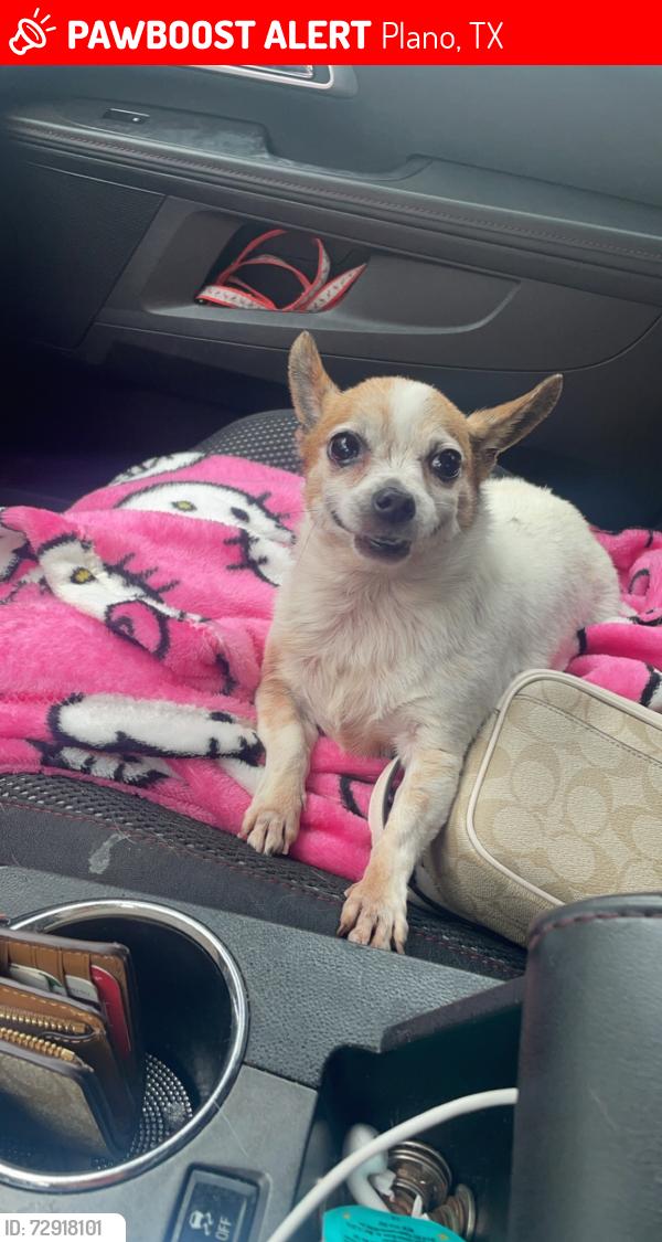 Lost Female Dog last seen Dibrell drive, Plano, TX 75023