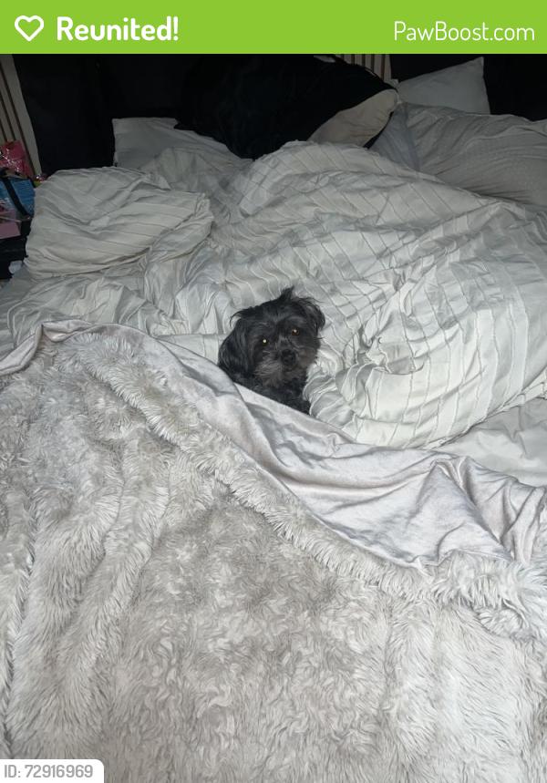Reunited Male Dog last seen out my back gate , San Antonio, TX 78250