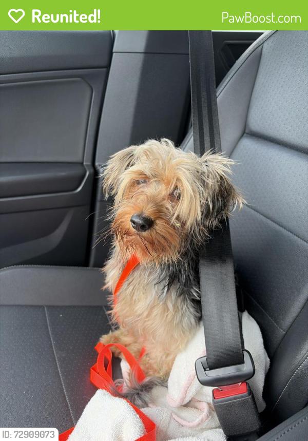 Reunited Male Dog last seen Atlantic Blvd and Riverside Drive , Coral Springs, FL 33065