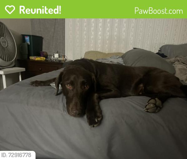 Reunited Male Dog last seen Marston and Bunch, Laurel Hill, NC 28351