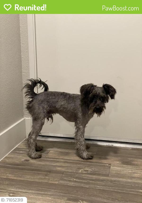 Reunited Male Dog last seen Echleon Point Dr & Fort Apache, Las Vegas, NV 89149