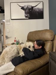Lost Female Dog last seen Highway 301 and State road 484., Summerfield, FL 34491