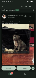 Reunited Female Dog last seen Bentwater Pkwy , Cedar Hill, TX 75104