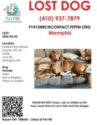 Lost Female Dog last seen Near Paddrick Rd, Darlington, MD 21034