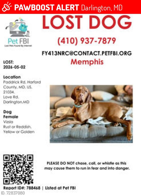 Lost Female Dog last seen Near Paddrick Rd, Darlington, MD 21034